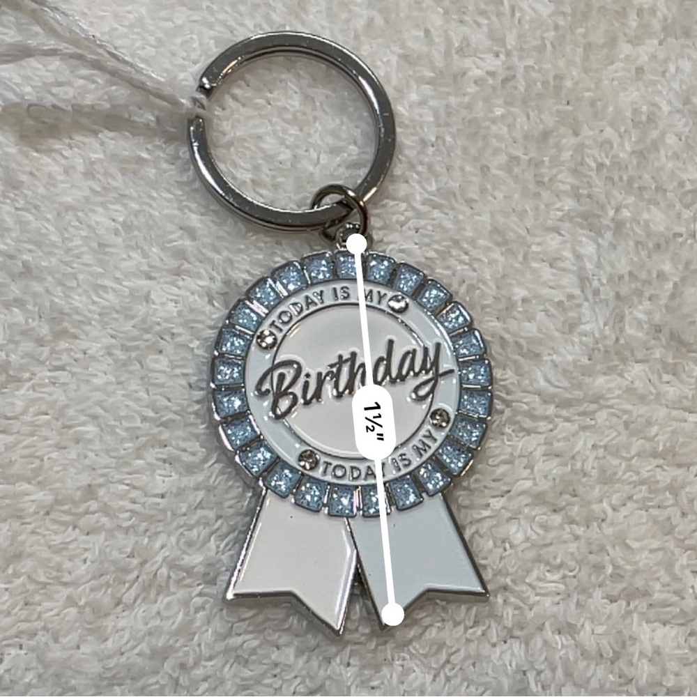Today Is My Birthday Pooch Silver Enamel Tag Skinny Dip pet dog accessory charm - Picture 5 of 6